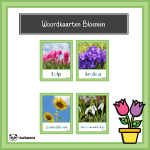 Woordkaarten bloemen